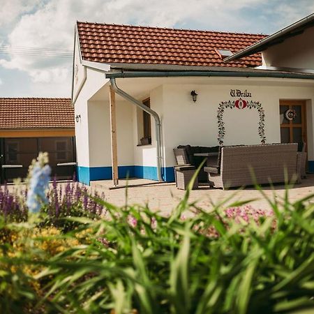 Apartman U Draba: Ubytovani Na Slovacku V Miloticich U Kyjova Milotice Eksteriør billede