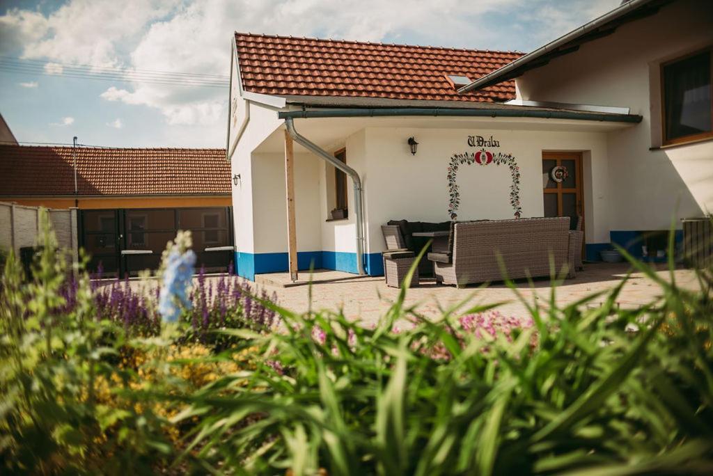 Apartman U Draba: Ubytovani Na Slovacku V Miloticich U Kyjova Milotice Eksteriør billede