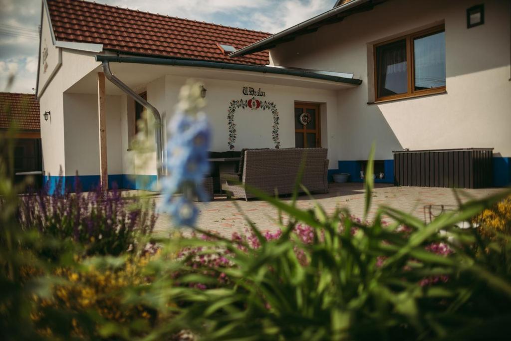Apartman U Draba: Ubytovani Na Slovacku V Miloticich U Kyjova Milotice Eksteriør billede